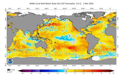 Niño costero y Niño global 2026