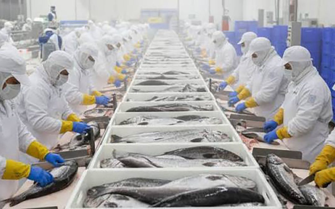 Revolución en Conservas:    El Impacto de la Innovación de Cárnicos y Pescado en el Perú